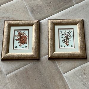 2-8x10 Red Coral Framed Prints. Never Used